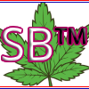 SBTM